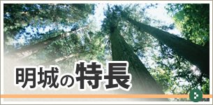 明城の特長